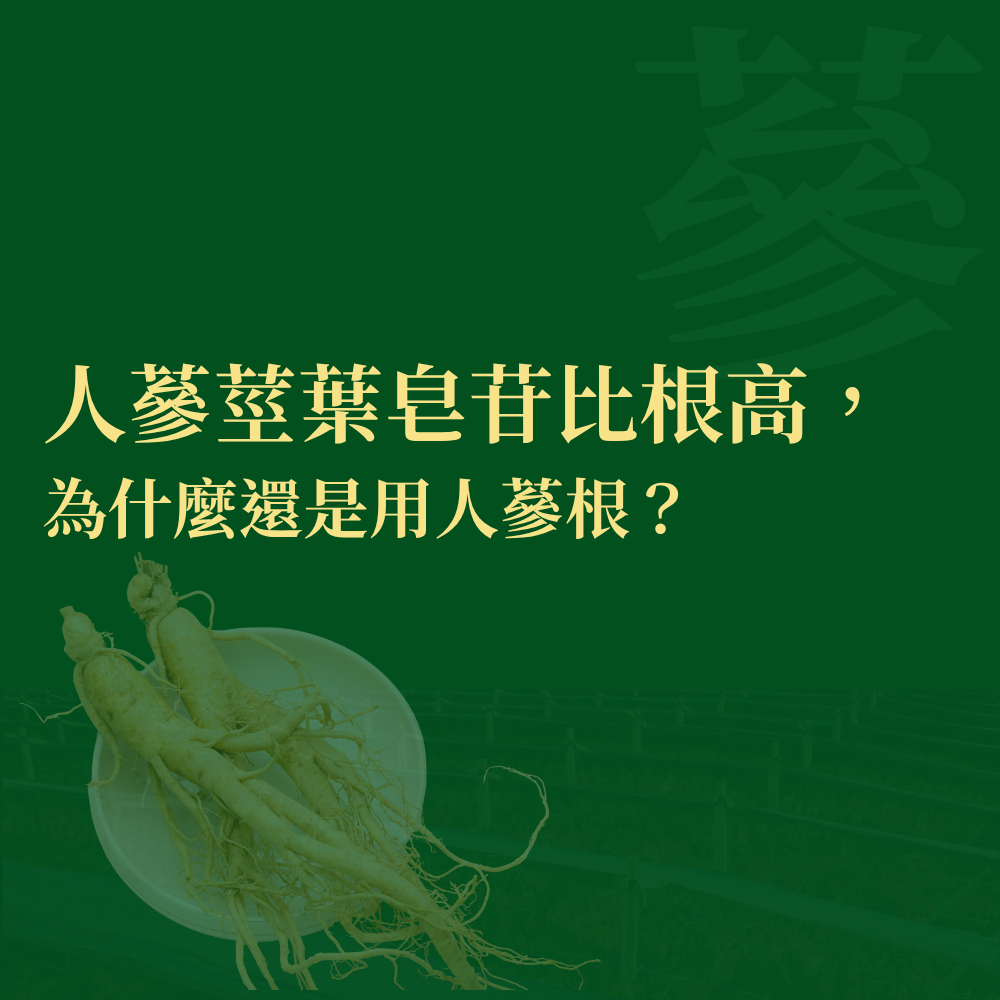 人蔘莖葉皂苷比根高，為什麼還是用人蔘根？